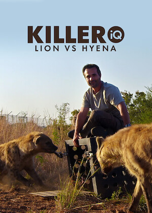 Killer IQ: Lion vs. Hyena